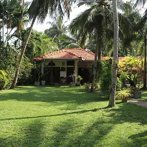 Pavana 3* Negombo